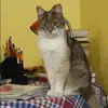 Отзыв от Клара Королькова